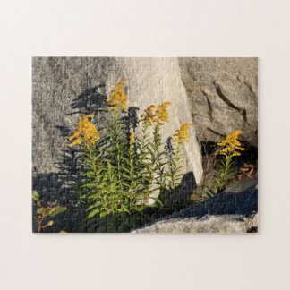 Puzzle Fleuron D'Or Et Ombres Nature