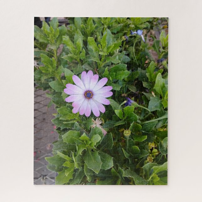 Puzzle Fleurs  (Vertical)