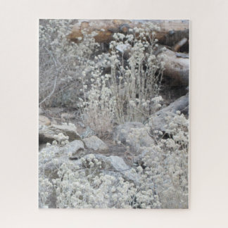 Puzzle Fleurs blanches dans la forêt