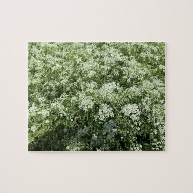 Puzzle Fleurs blanches de persil de vache Nature (Horizontal)
