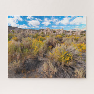 Puzzle Fleurs   Blooming Sagebrush Californie