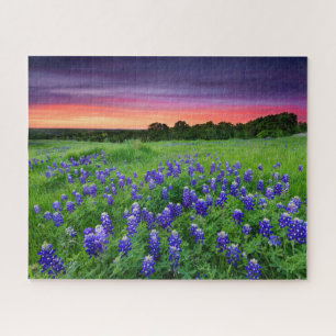 Puzzle Fleurs   Bluebonnets à Sunset Texas