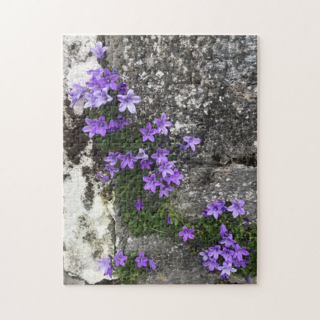 Puzzle Fleurs Campanula grandissant sur un mur (Vertical)