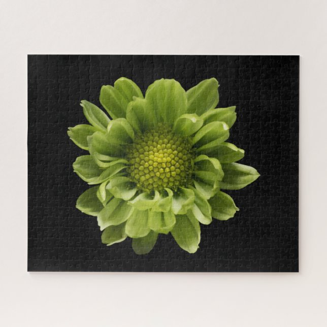 Puzzle Fleurs | Chrysanthème vert (Horizontal)