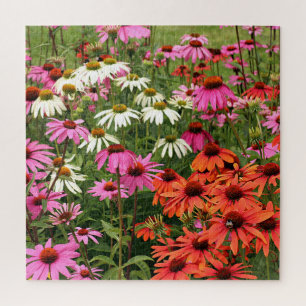 Puzzle Fleurs colorées