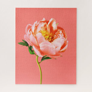 Puzzle Fleurs Coral Peony Blossom
