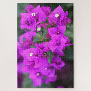 Puzzle Fleurs de bougainvilliers violets