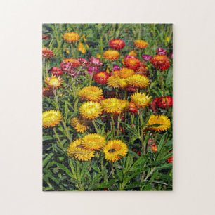 Puzzle Fleurs de boutons rouges et jaunes