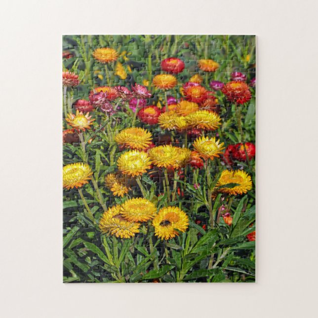 Puzzle Fleurs de boutons rouges et jaunes (Vertical)