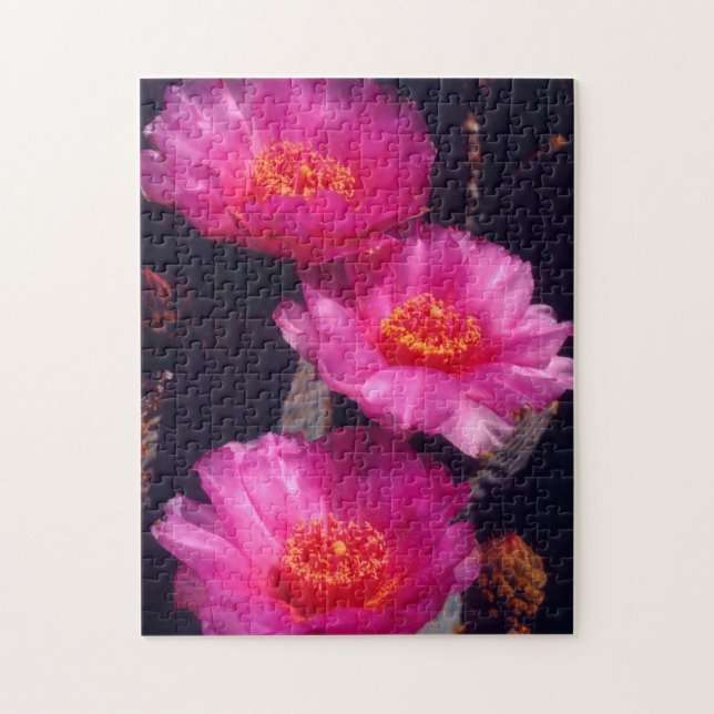 Puzzle Fleurs de Cactus Beavertail 2 (Vertical)
