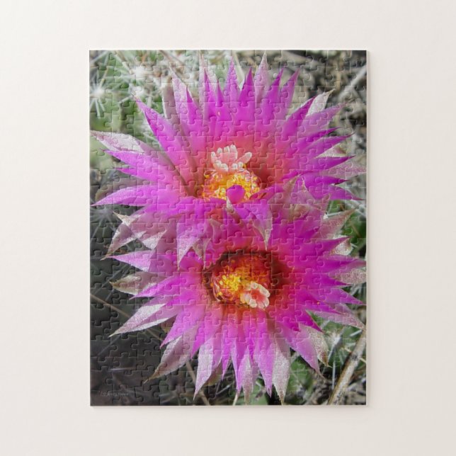 Puzzle Fleurs de cactus boule F5 "Escobaria vivipara" (Vertical)