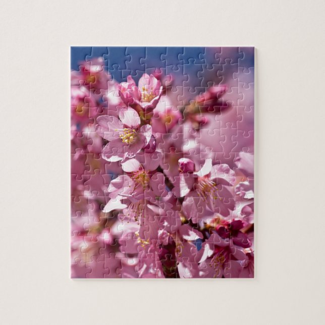 Puzzle Fleurs de cerisier Sakura embrassées par la lumièr (Vertical)