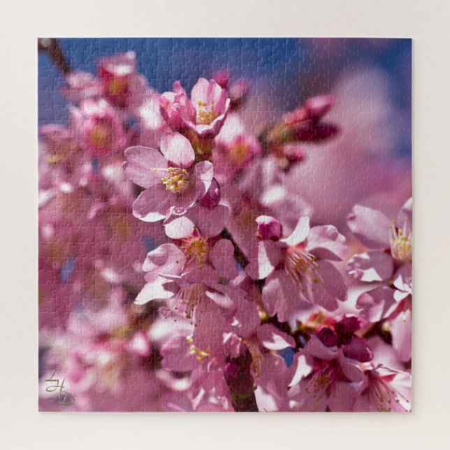 Puzzle Fleurs de cerisier Sakura embrassées par la lumièr (Vertical)