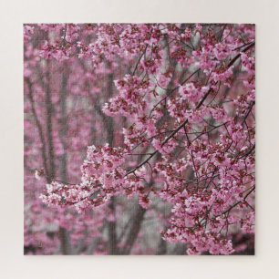 Puzzle Fleurs de cerisier Sakura rose flottant