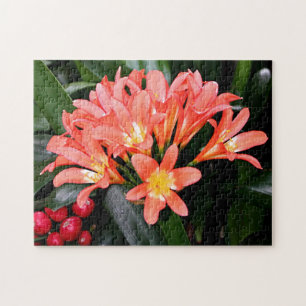 Puzzle Fleurs de Clivia en fleurs