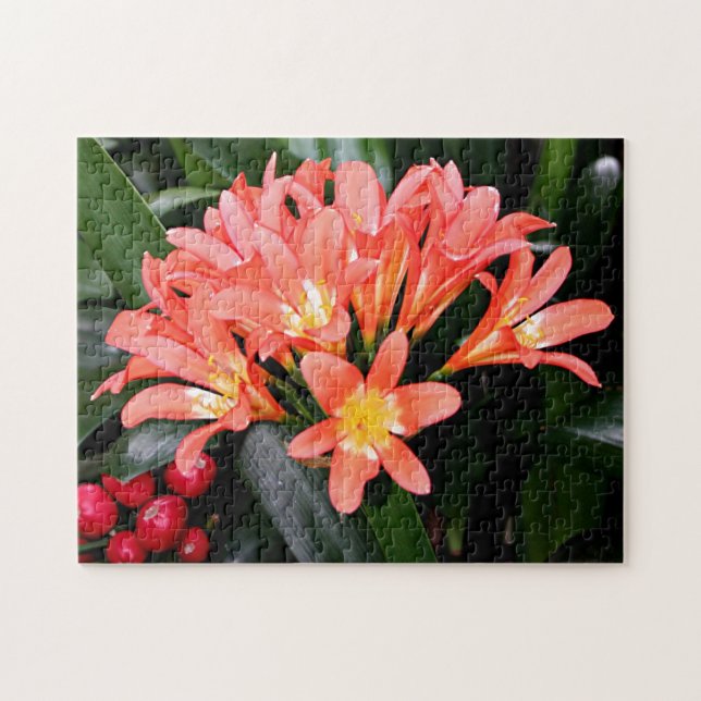Puzzle Fleurs de Clivia en fleurs (Horizontal)