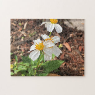 Puzzle Fleurs de Cosmo Blanc Jardin Floral de Printemps