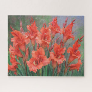Puzzle Fleurs de Glaïeuls Rouges Image Florale