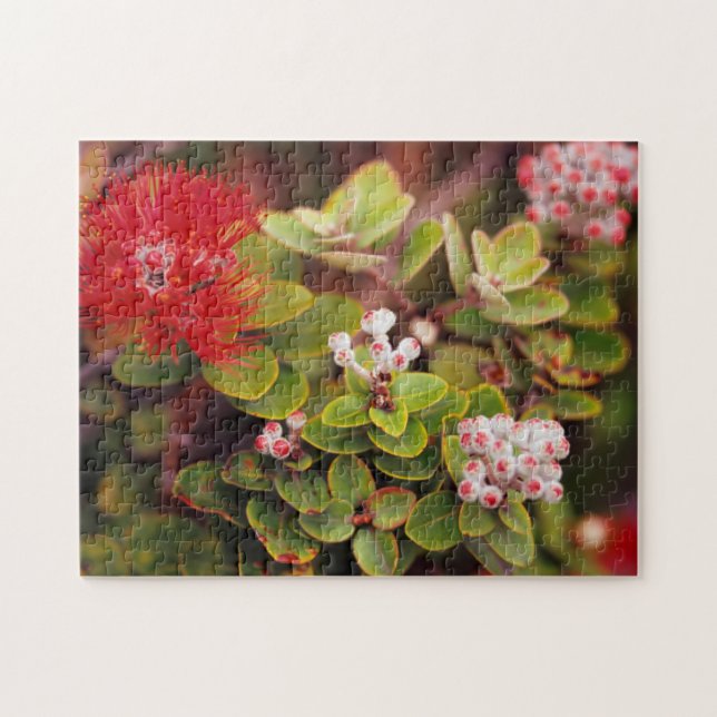 Puzzle Fleurs de Lehua dans les volcans d'Hawaii (Horizontal)