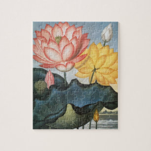 Puzzle Fleurs de Lotus Vintage, Le Haricot Égyptien Sacré
