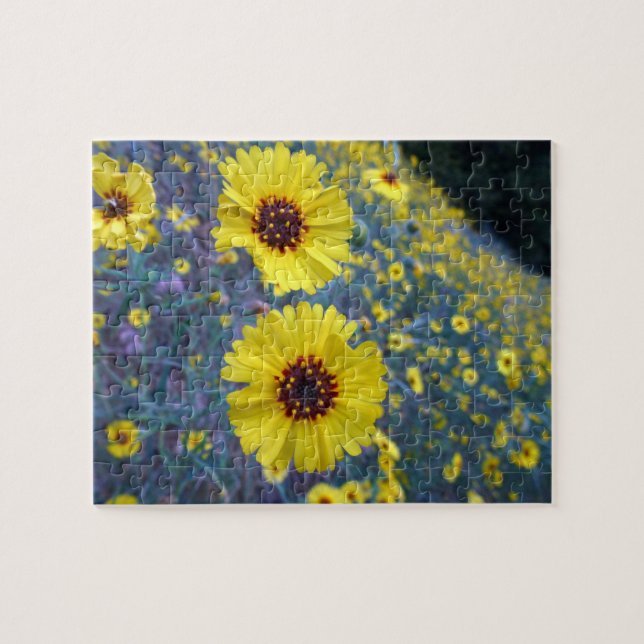 Puzzle Fleurs de Madia communes dans le parc national de  (Horizontal)