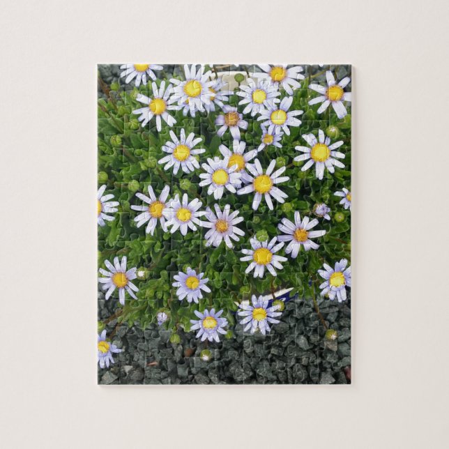 Puzzle Fleurs de Margarita jaune blanc avec cailloux gris (Vertical)