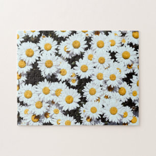 Puzzle Fleurs de marguerite Floral Fleurir Nature