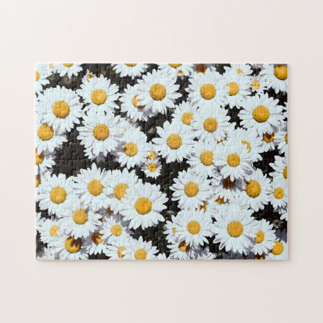 Puzzle Fleurs de marguerite Floral Fleurir Nature (Horizontal)
