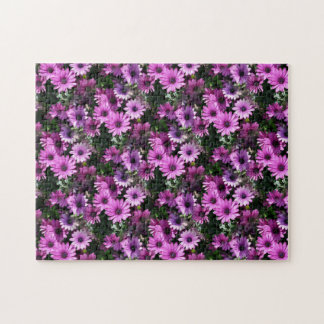 Puzzle Fleurs de marguerite violette africaine Nature