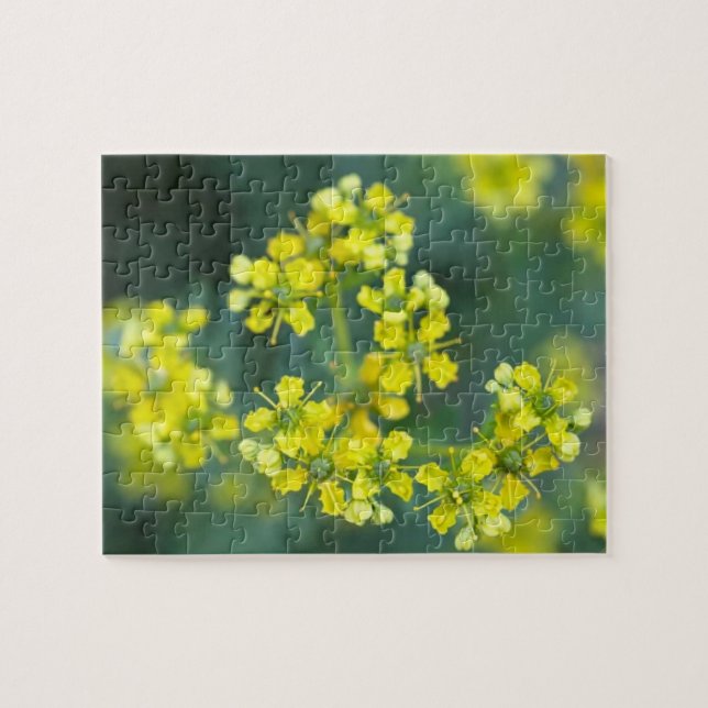 Puzzle Fleurs de Moutarde, Puzzle, 8x10 po, 110 pièces (Horizontal)