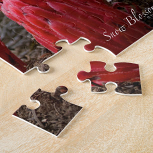 Puzzle Fleurs de neige