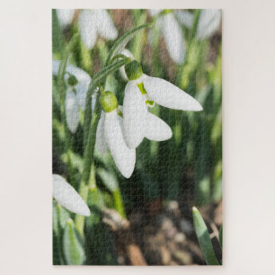 Puzzle Fleurs de neige