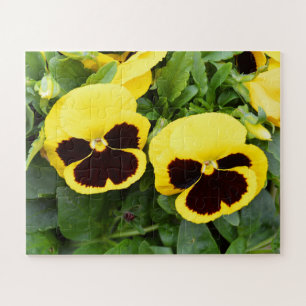 Puzzle Fleurs de pansement jaune