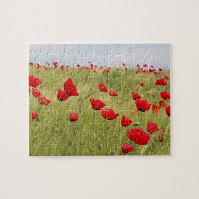 Puzzle Fleurs de pavot rouge nature (Horizontal)