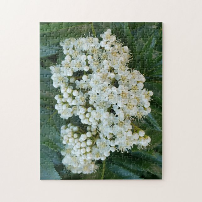 Puzzle Fleurs de Perle Alpines, 28 cm x 36 cm, 252 (Vertical)