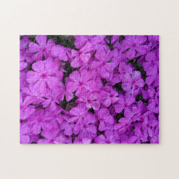 Puzzle Fleurs de Phlox Violettes