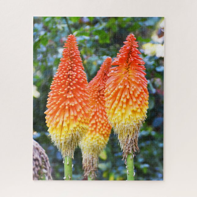 Puzzle Fleurs de poker chaud rouge (Vertical)