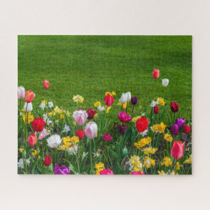 Puzzle Fleurs de printemps