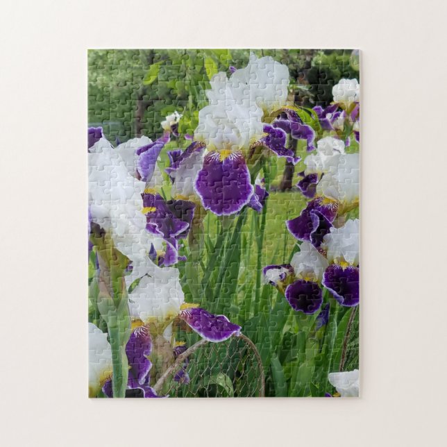 Puzzle Fleurs de printemps des Irises à oreilles (Vertical)