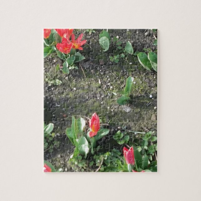Puzzle fleurs de printemps rouges dans le parc (Vertical)