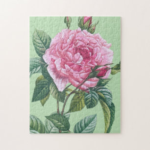 Puzzle Fleurs de rose rose avec feuilles vertes