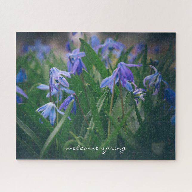 Puzzle Fleurs de scilla bleue dans le jardin de printemps (Horizontal)