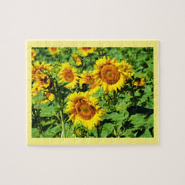 Puzzle Fleurs de soleil (Horizontal)