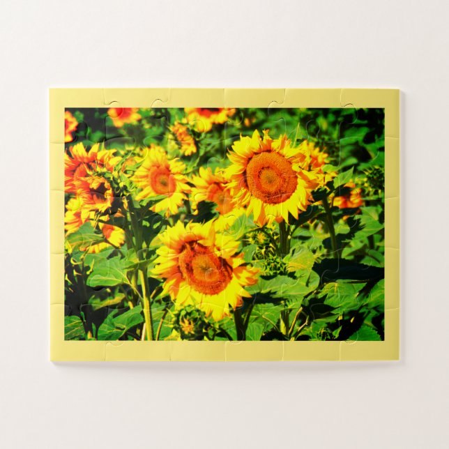 Puzzle Fleurs de soleil (Horizontal)