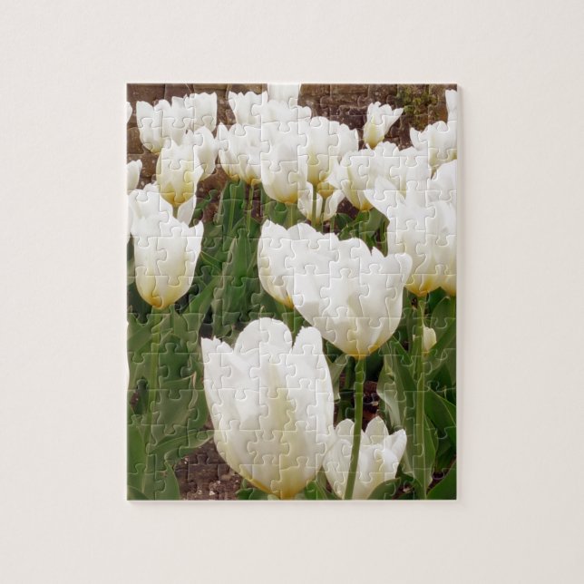 Puzzle Fleurs de tulipes blanches (Vertical)