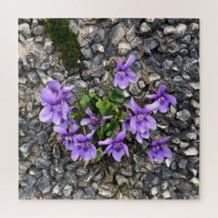 Puzzle Fleurs de violette sauvage poussant d'un mur en en