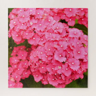 Puzzle Fleurs d'hydrangée rose