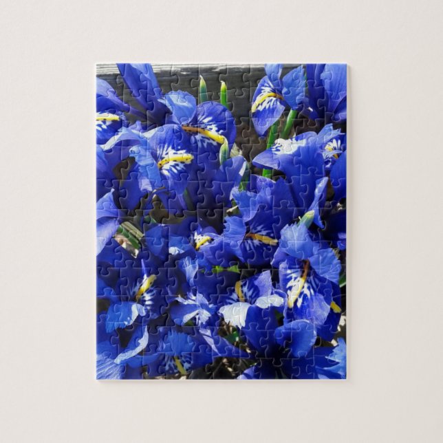 Puzzle Fleurs d'Iris Bleues dans le jardin (Vertical)