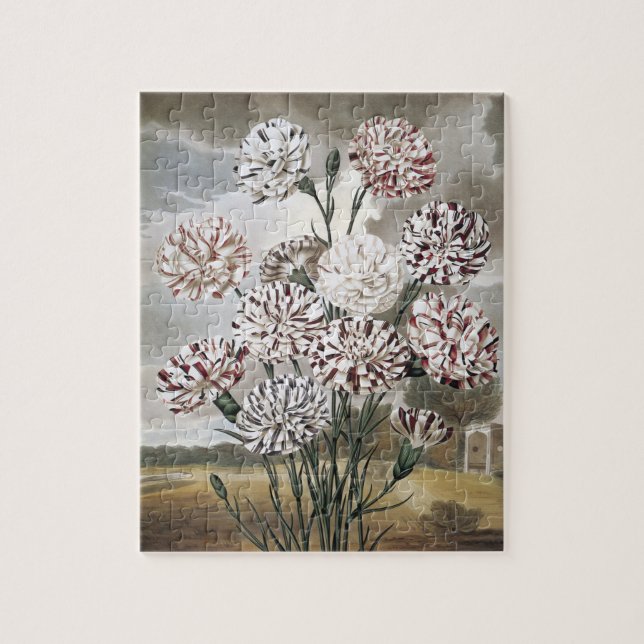 Puzzle Fleurs d'oeillets vintages avec ciel gris (Vertical)