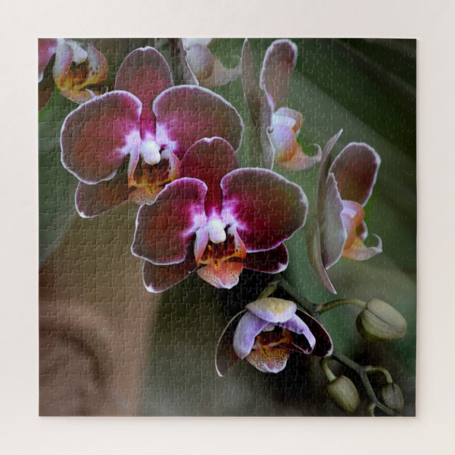 Puzzle Fleurs d'orchidées pourpres et marrons (Vertical)